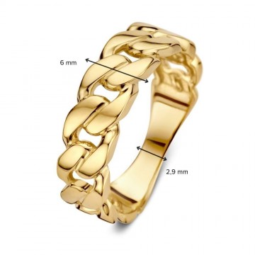 Ring geelgoud 30091 nl g