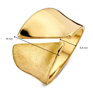 Ring geelgoud 30102 nl g