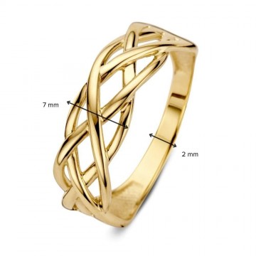 Ring geelgoud 30219 nl g