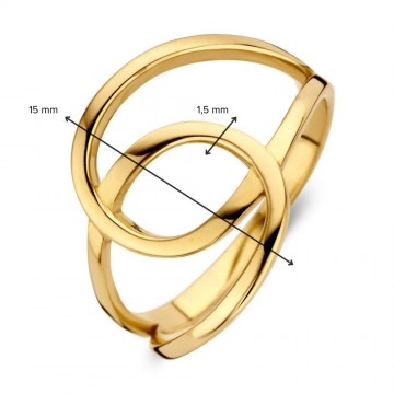 Ring geelgoud 30511 nl g