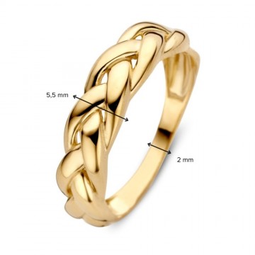 Ring geelgoud 31141 nl g