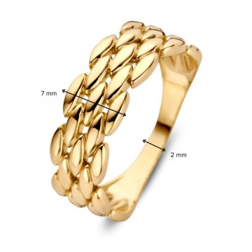 Ring geelgoud 31232 nl g