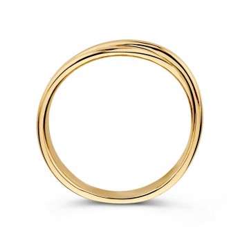 Ring geelgoud 31272 nl g