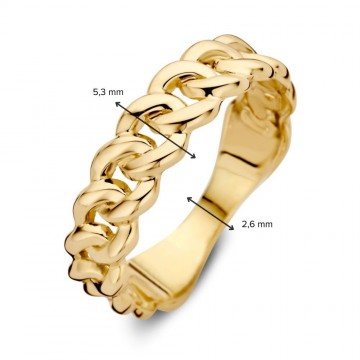 Ring geelgoud 31365 nl g