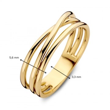 Ring geelgoud 31456 nl g