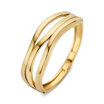 Ring geelgoud 31558 nl g