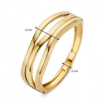 Ring geelgoud 31596 nl g