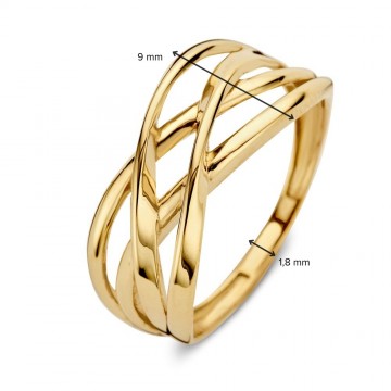 Ring geelgoud 31597 nl g
