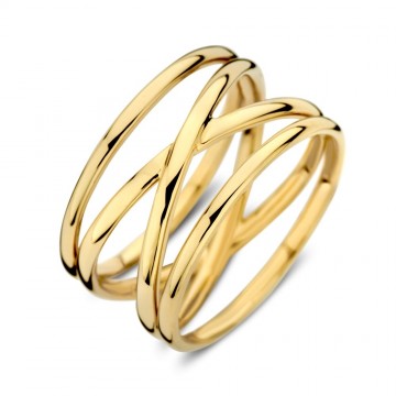 Ring geelgoud 31733 nl g