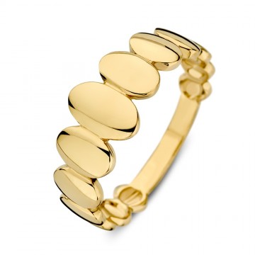 Ring geelgoud 31758 nl g