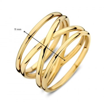 Ring geelgoud 31854 nl g