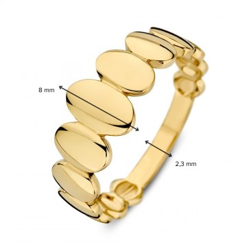 Ring geelgoud 31861 nl g