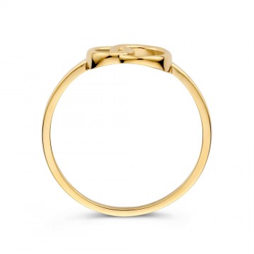 Ring geelgoud 32058 nl g