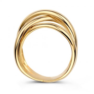 Ring geelgoud 32227 nl g