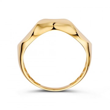 Ring geelgoud 32473 nl g