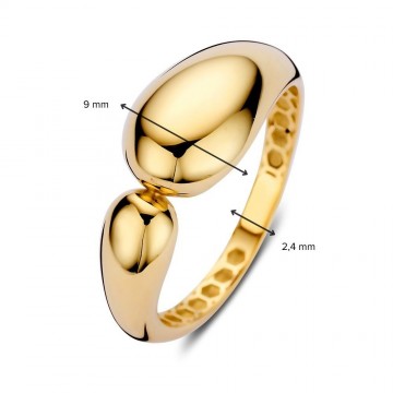 Ring geelgoud 32593 nl g