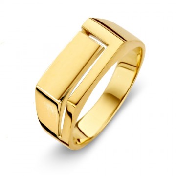 Ring geelgoud 32752 nl g