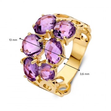Ring geelgoud amethist 32261 nl g