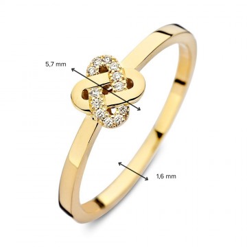 Ring geelgoud briljant 0 04 crt 30860 nl g