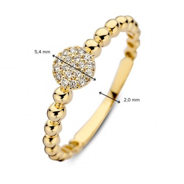 Ring geelgoud briljant 0 09 crt 30858 nl g