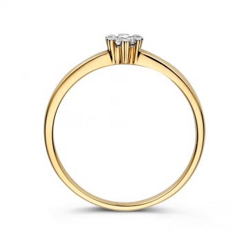 Ring geelgoud briljant 0 12 crt 32249 nl g