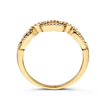Ring geelgoud briljant 0 14 crt 31819 nl g
