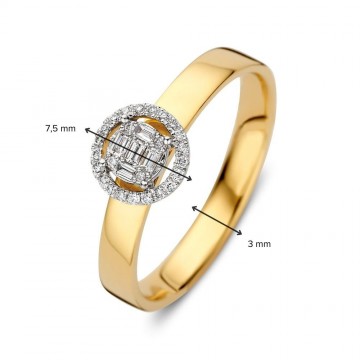 Ring geelgoud briljant 0 17 crt 32321 nl g
