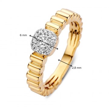 Ring geelgoud briljant 0 22 crt 32602 nl g