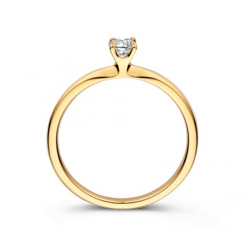 Ring geelgoud briljant 0 25 crt 32543 nl g