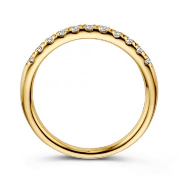 Ring geelgoud briljant 0 31 crt 24780 nl g