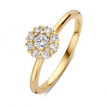 Ring geelgoud briljant 0 41 crt 32988 nl g