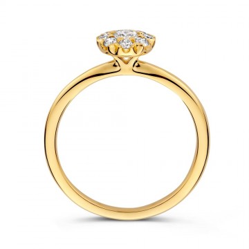 Ring geelgoud briljant 0 41 crt 32989 nl g