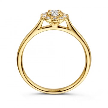 Ring geelgoud briljant 0 43 crt 24891 nl g