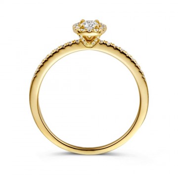 Ring geelgoud briljant 0 45 crt 25016 nl g