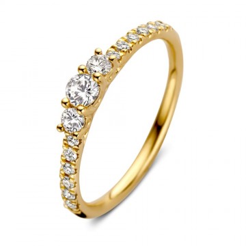 Ring geelgoud briljant 0 46 crt 24850 nl g