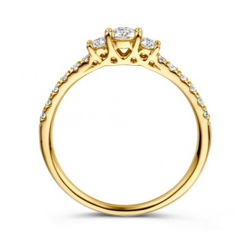 Ring geelgoud briljant 0 46 crt 24851 nl g