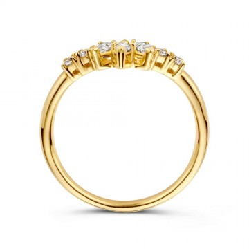 Ring geelgoud briljant 0 47 crt 24921 nl g