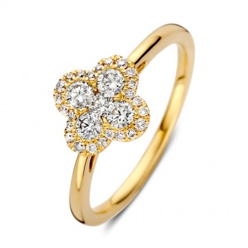 Ring geelgoud briljant 0 48 crt 32907 nl g
