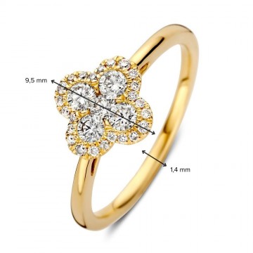 Ring geelgoud briljant 0 48 crt 32977 nl g
