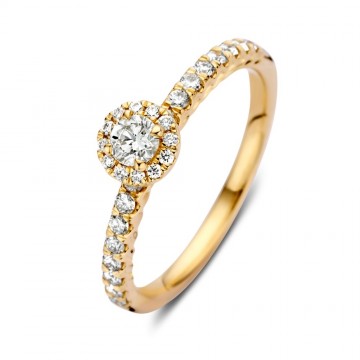 Ring geelgoud briljant 0 50 crt 32548 nl g