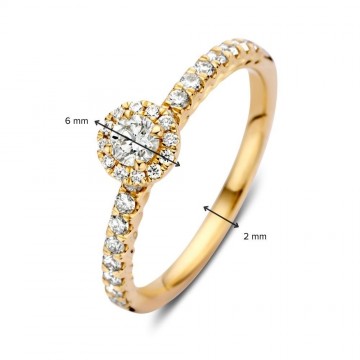 Ring geelgoud briljant 0 50 crt 32694 nl g