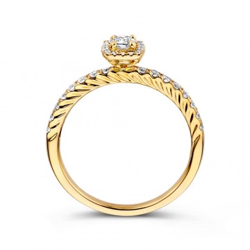 Ring geelgoud briljant 0 53 crt 32553 nl g