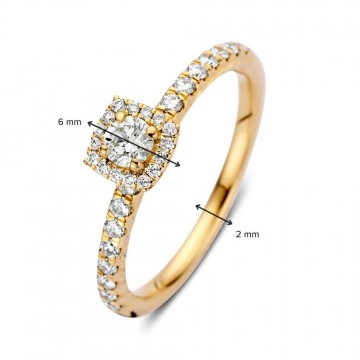 Ring geelgoud briljant 0 53 crt 32693 nl g