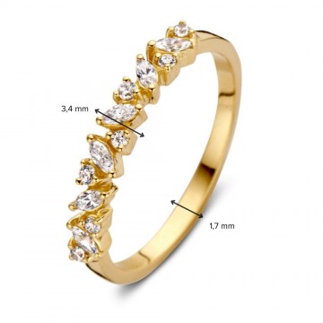 Ring geelgoud zirkonia 30888 nl g