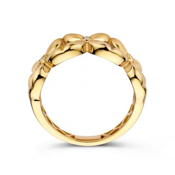 Ring geelgoud zirkonia 32481 nl g
