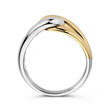 Ring zilver goud 30880 nl g
