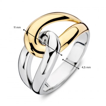 Ring zilver goud 30898 nl g