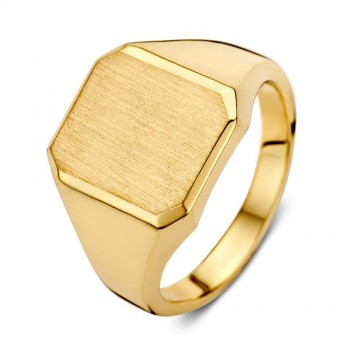 Zegelring geelgoud massief 24522 nl g