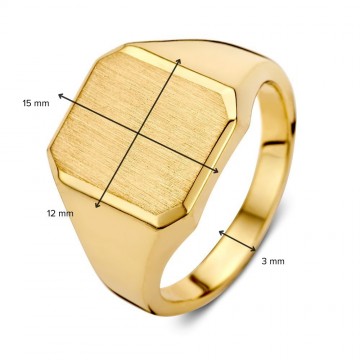 Zegelring geelgoud massief 30831 nl g